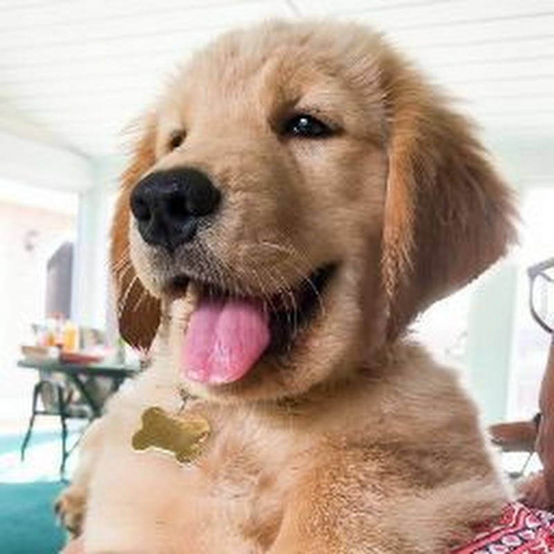 Tucker Budzyn Tucker Budzyn