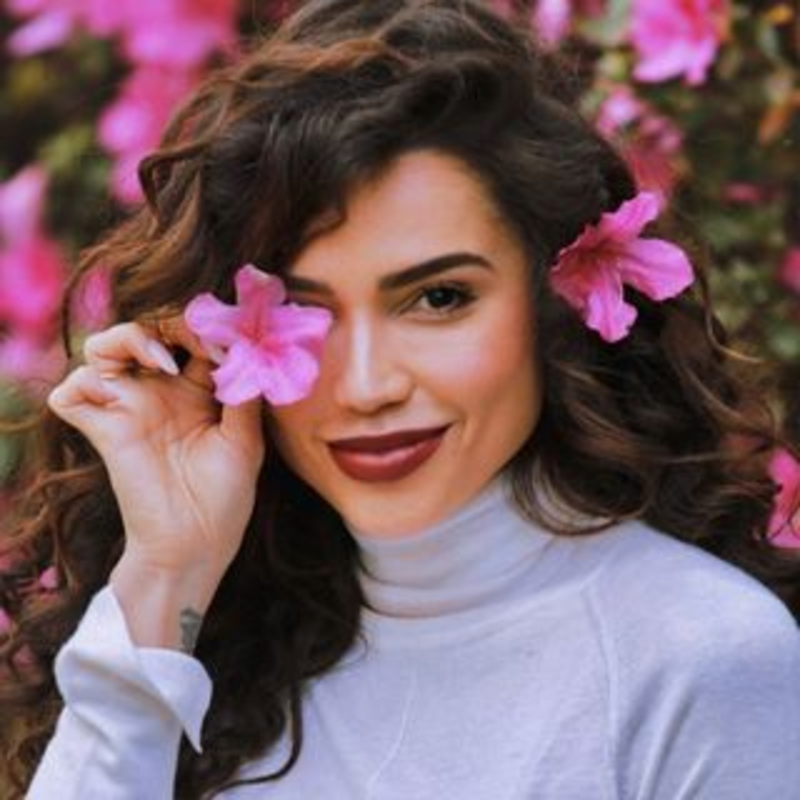 Paula Amorim Paula Amorim