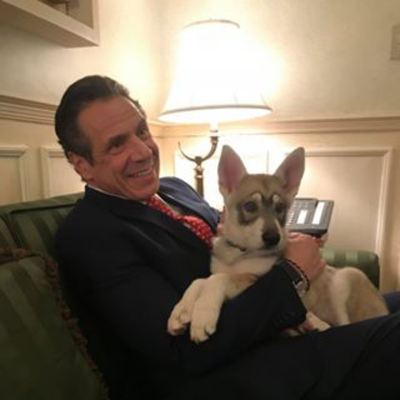 Andrew Mark Cuomo