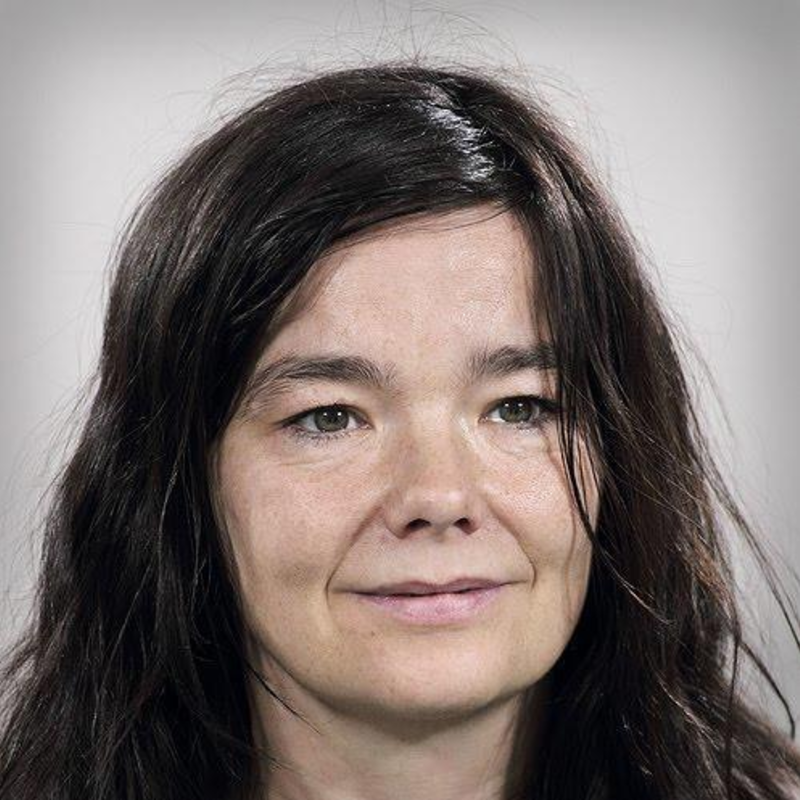Bjork Bjork