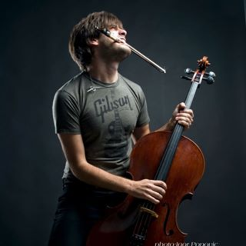 Hauser Hauser