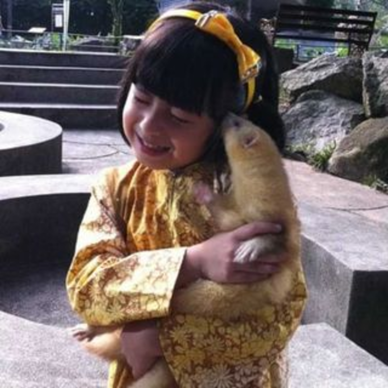 Sara Nasuha Sara Nasuha