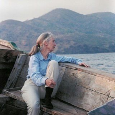 Dr. Jane Goodall DBE