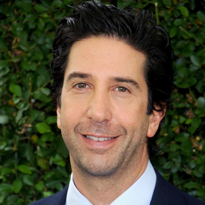 David Schwimmer