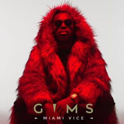 G I M S